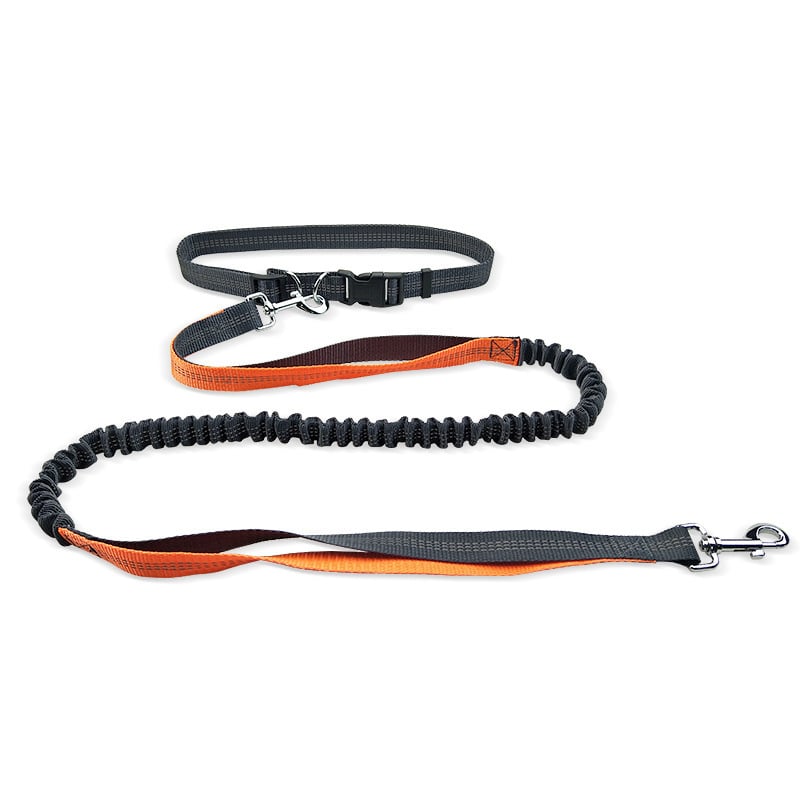 Hands-Free Dog Walking Belt with Shockproof Leash – Walk Smarter