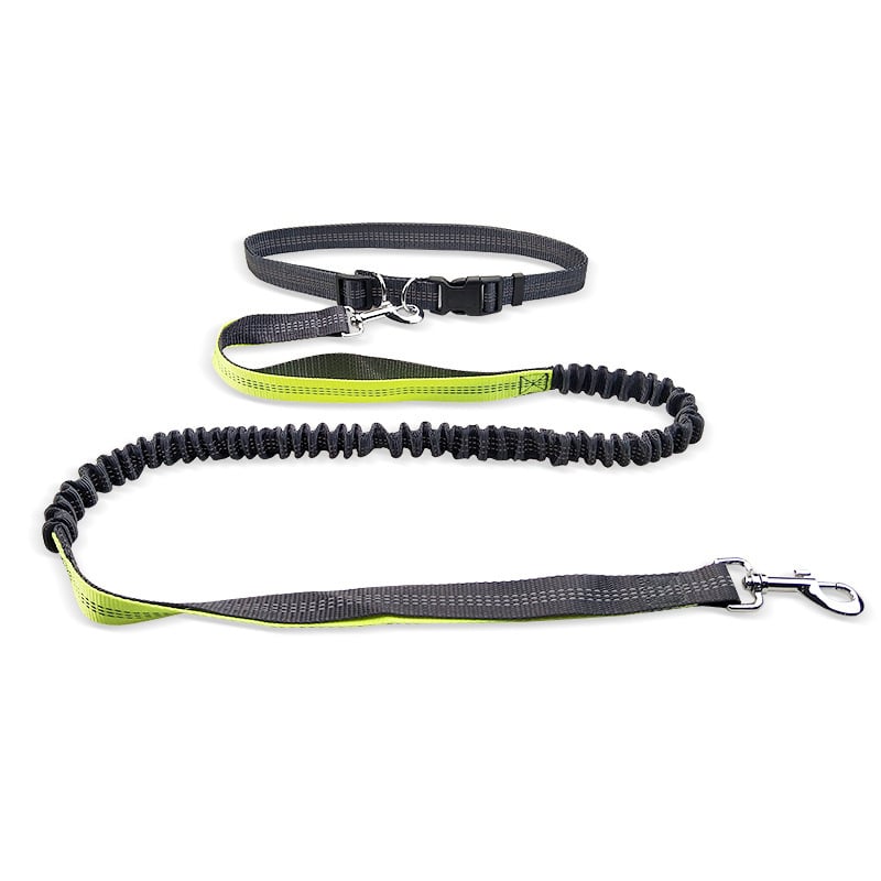 Hands-Free Dog Walking Belt with Shockproof Leash – Walk Smarter
