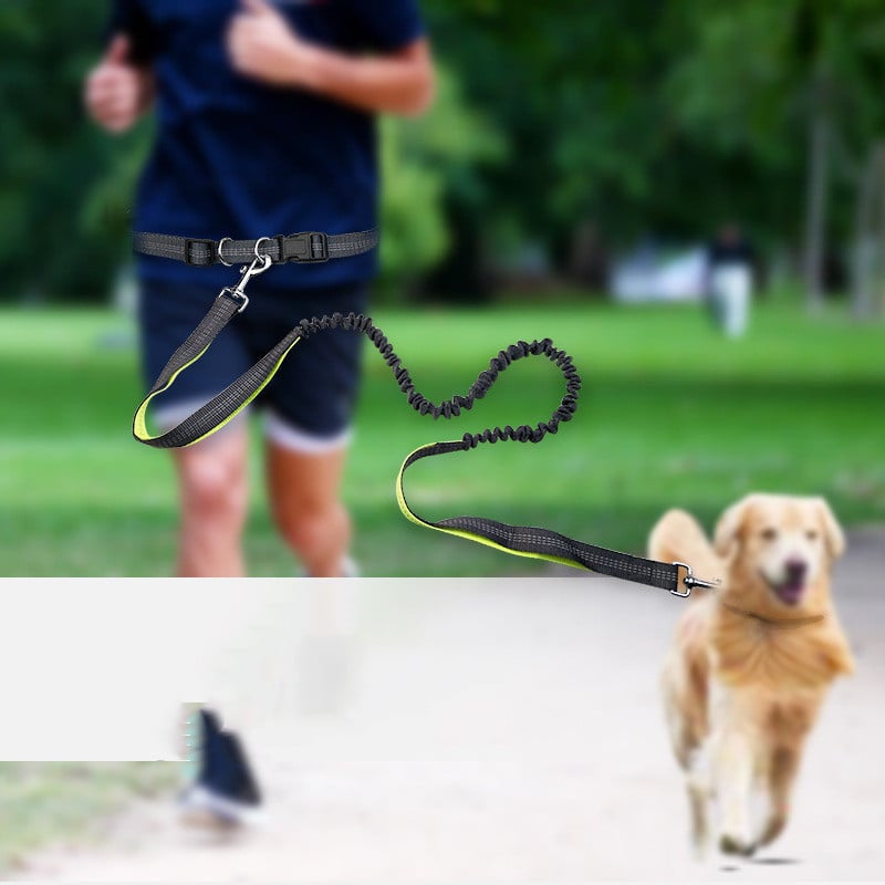 Hands-Free Dog Walking Belt with Shockproof Leash – Walk Smarter